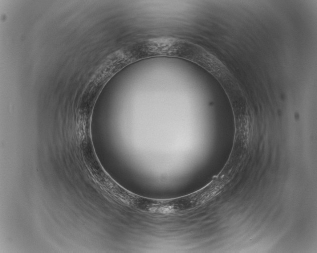 X0000054430602200507291250
