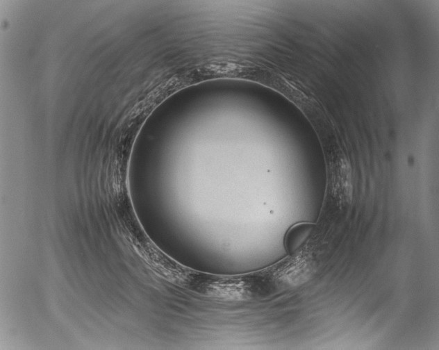 X0000054430606200507291250