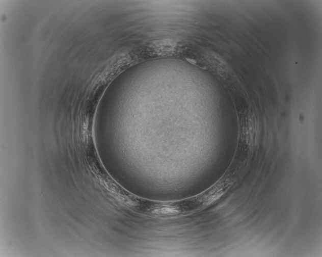 X0000054430610200507291250