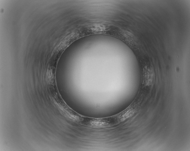 X0000054430614200507291250
