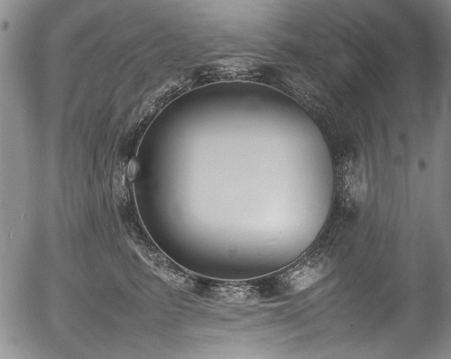 X0000054430615200507291250