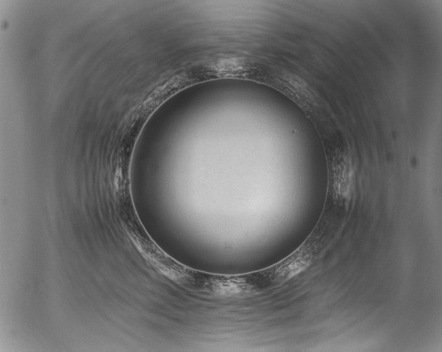X0000054430618200507291250