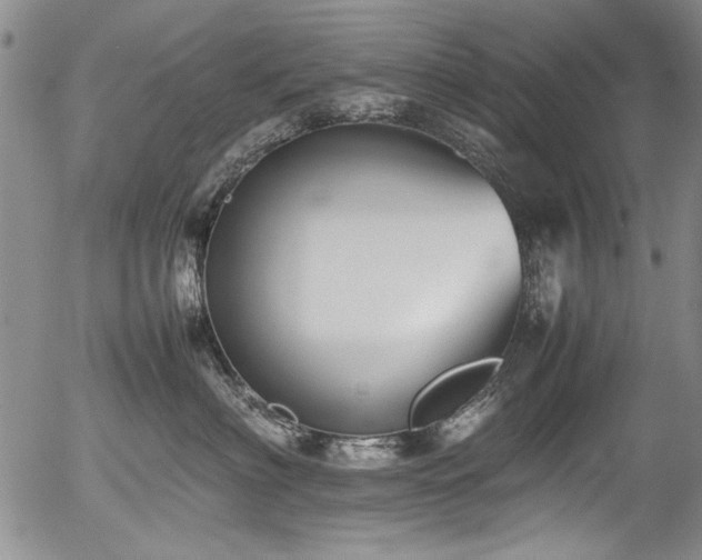 X0000054430622200507291250