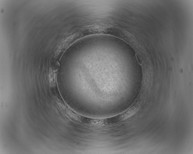X0000054430624200507291250