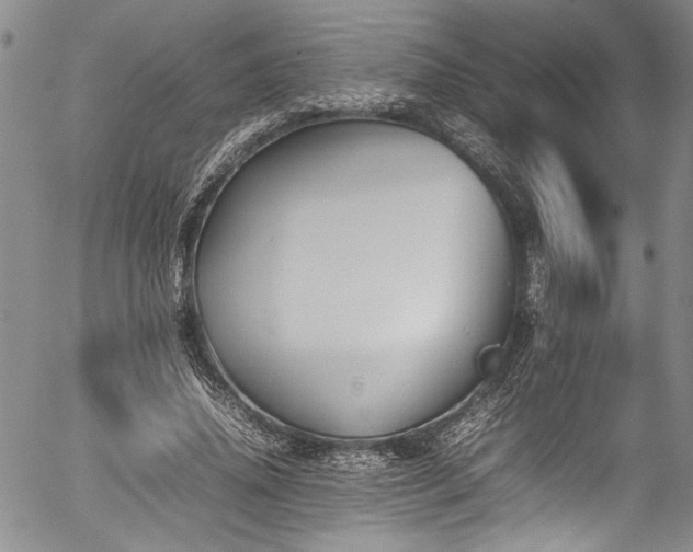 X0000054430636200507291249