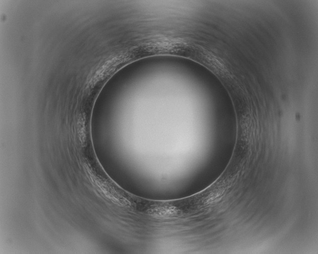 X0000054430642200507291249