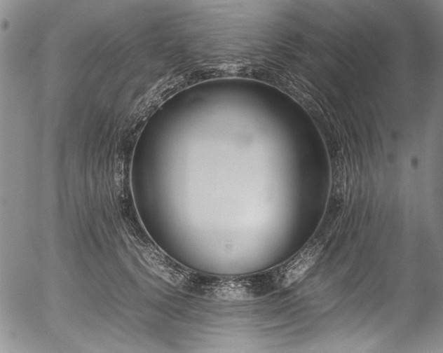 X0000054430656200507291250
