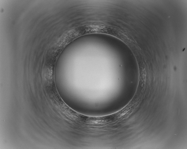 X0000054430657200507291250