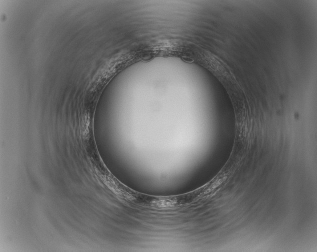 X0000054430660200507291250