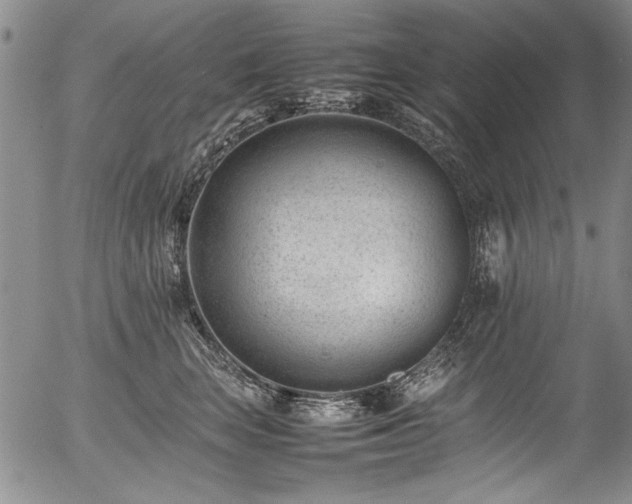 X0000054430663200507291250