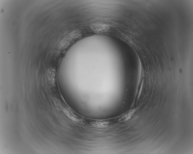 X0000054430664200507291250