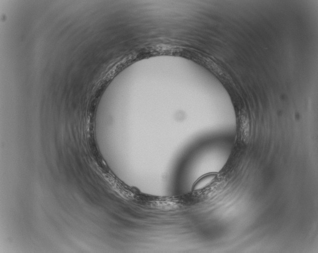 X0000054430668200507291250