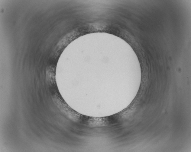 X0000054430672200507291250