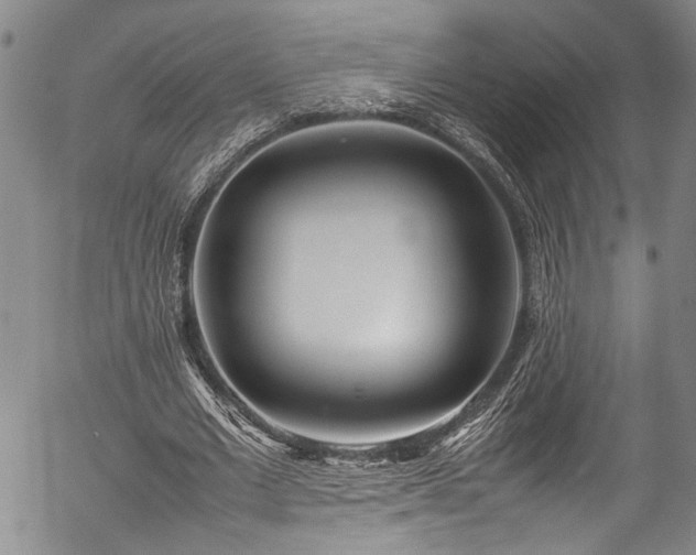 X0000054430677200507291249
