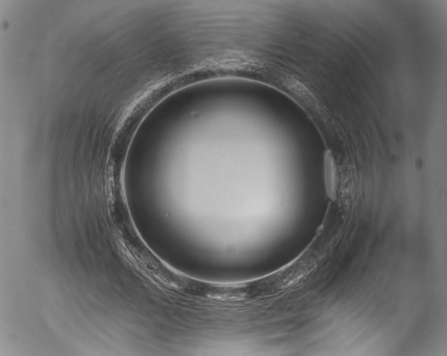 X0000054430680200507291249