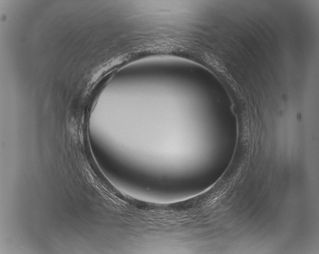 X0000054430681200507291249