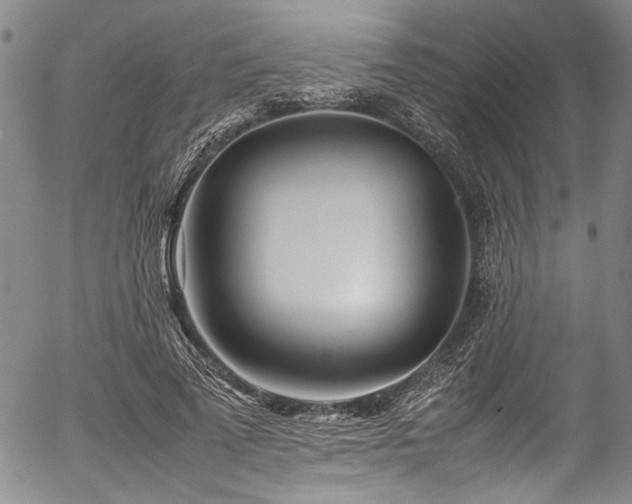 X0000054430689200507291249