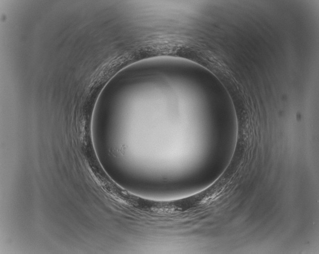 X0000054430693200507291249
