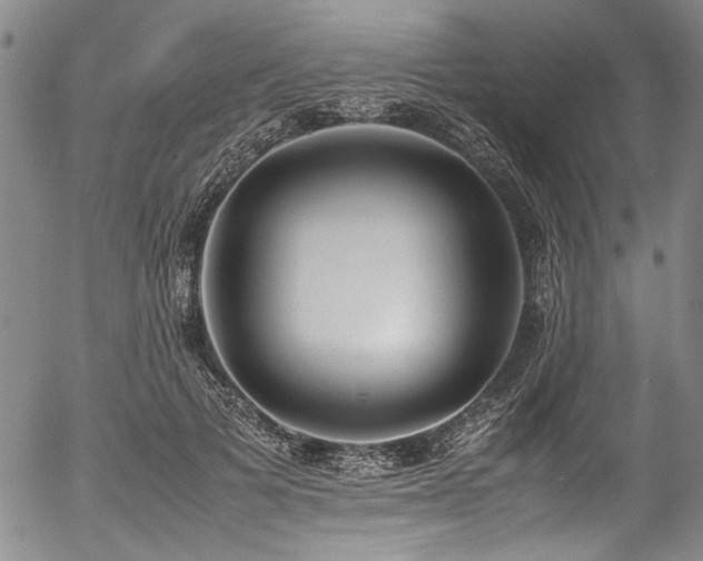 X0000054430697200507291249