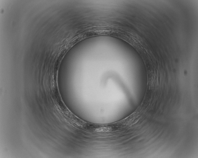 X0000054430700200507291249