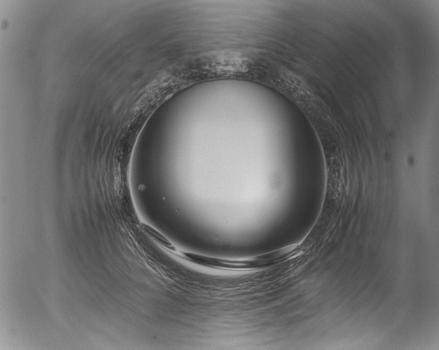 X0000054430704200507291249