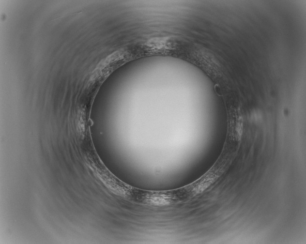 X0000054430710200507291248