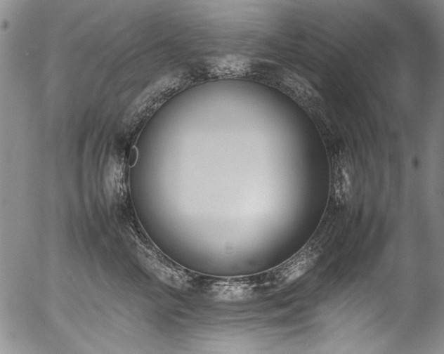 X0000054430714200507291248