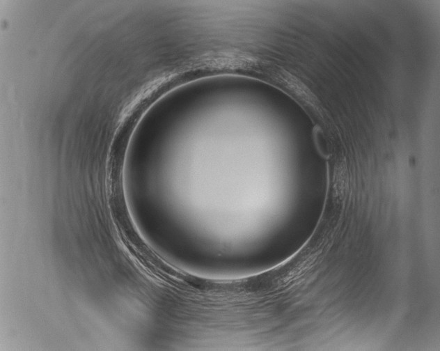 X0000054430722200507291248