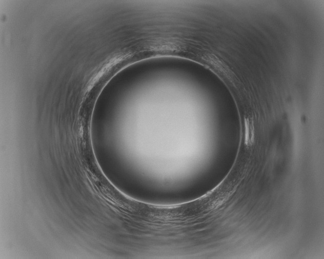 X0000054430723200507291248