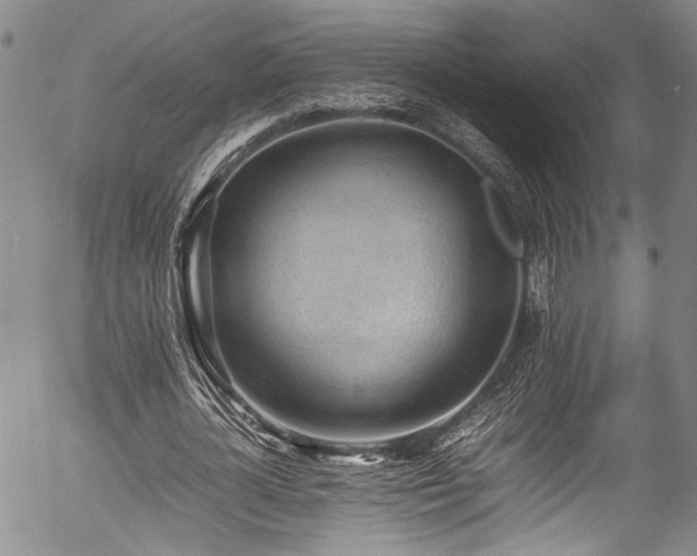 X0000054430724200507291248
