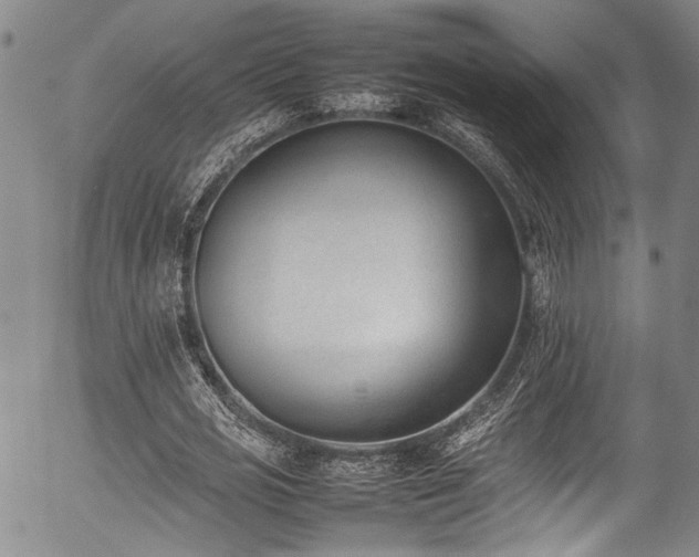 X0000054430725200507291248