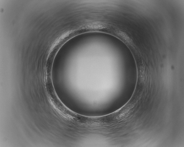 X0000054430726200507291248