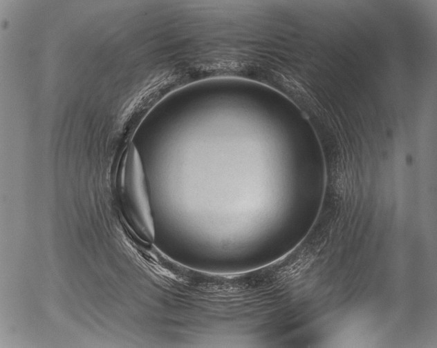 X0000054430735200507291248