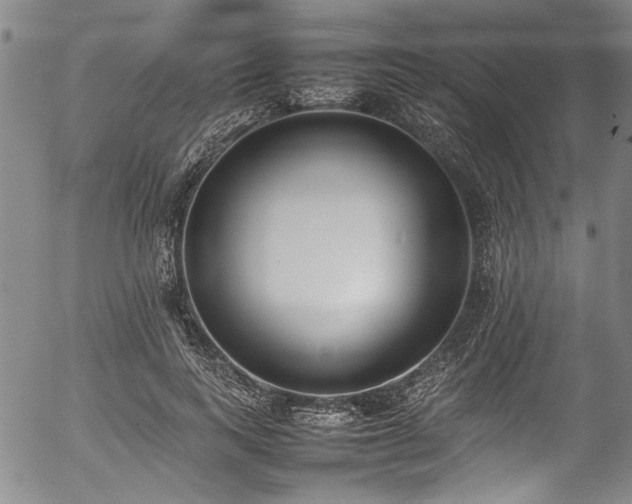 X0000054430743200507291248
