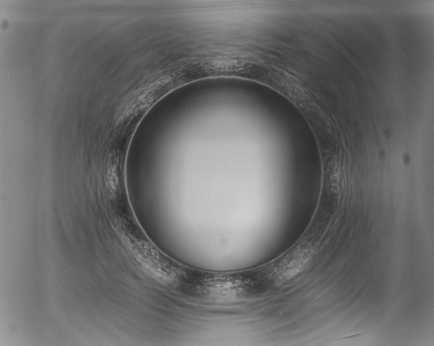 X0000054430746200507291248