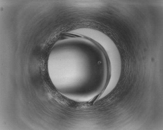 X0000054430750200507291248