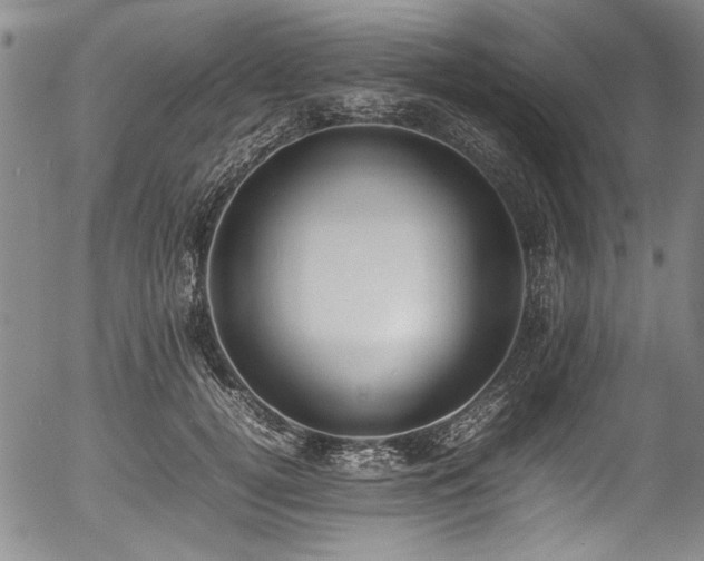 X0000054430752200507291248