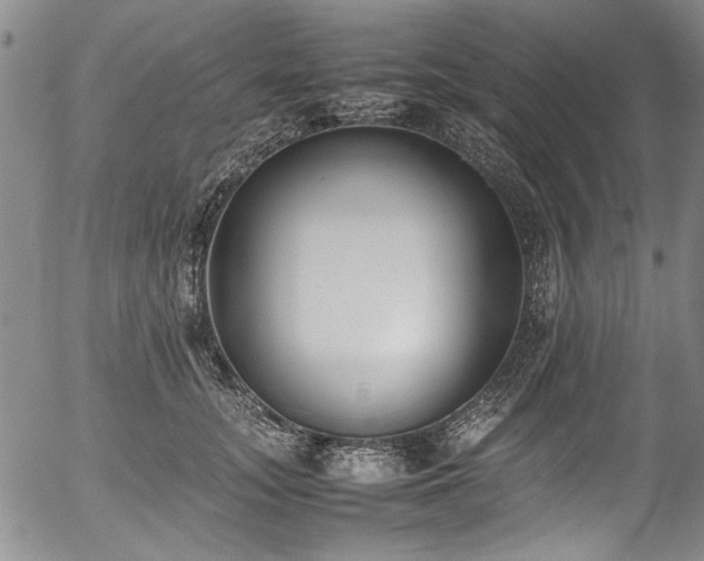X0000054430755200507291248