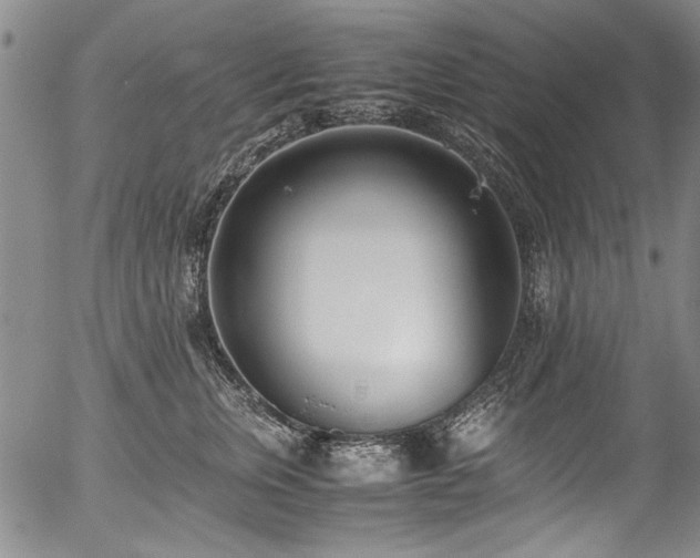 X0000054430759200507291248