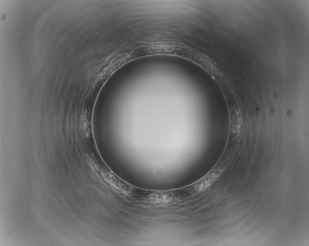 X0000054430764200507291248