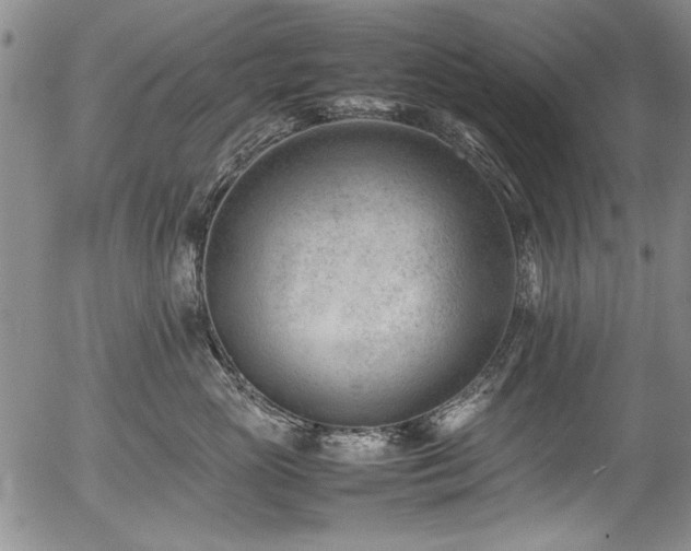 X0000054430765200507291248