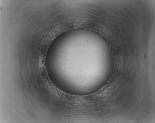 X0000054430770200507291248