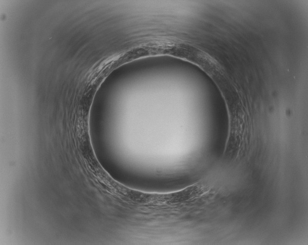 X0000054430773200507291247