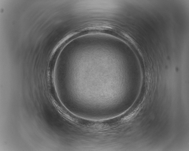 X0000054430779200507291247