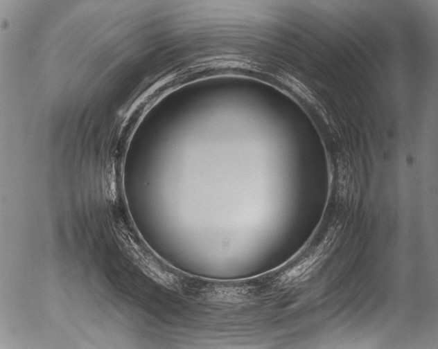 X0000054430782200507291247