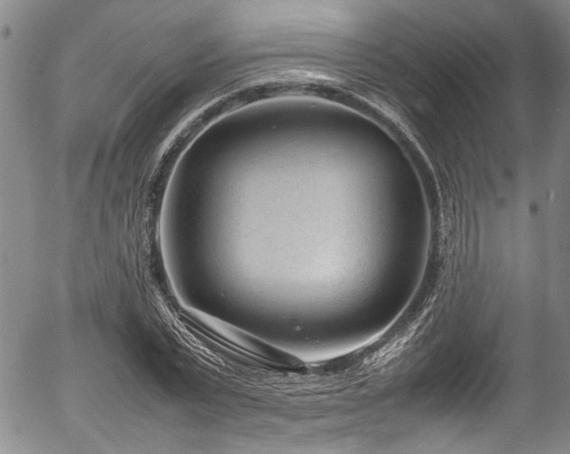 X0000054430783200507291247