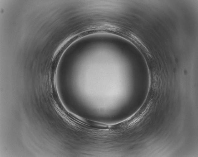 X0000054430788200507291247
