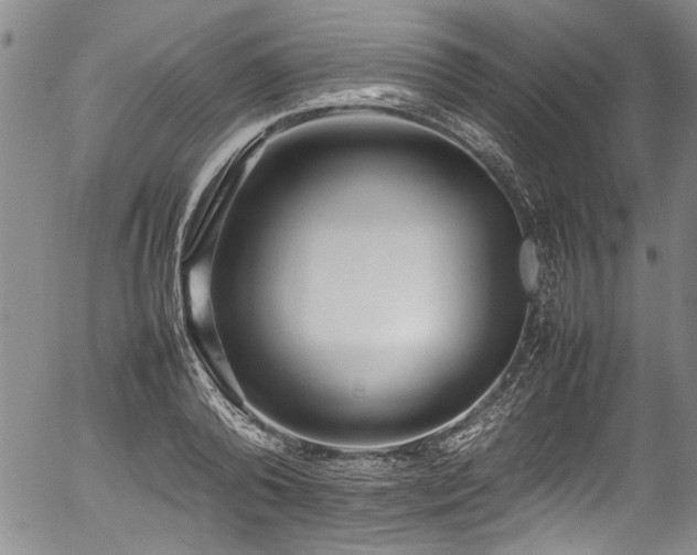 X0000054430792200507291247