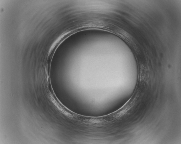 X0000054430796200507291247