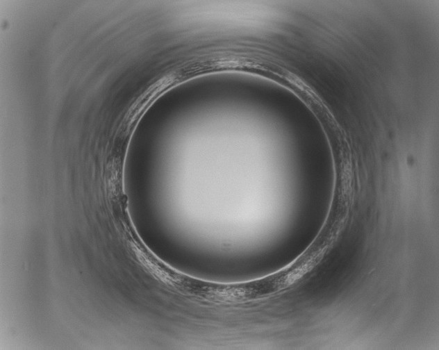 X0000054430801200507291247